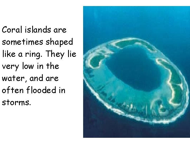 Coral islands are sometimes shaped like a ring. They lie very low in the Coral islands are sometimes shaped like a ring. They lie very low in the