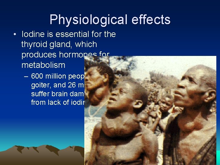 Physiological effects • Iodine is essential for the thyroid gland, which produces hormones for