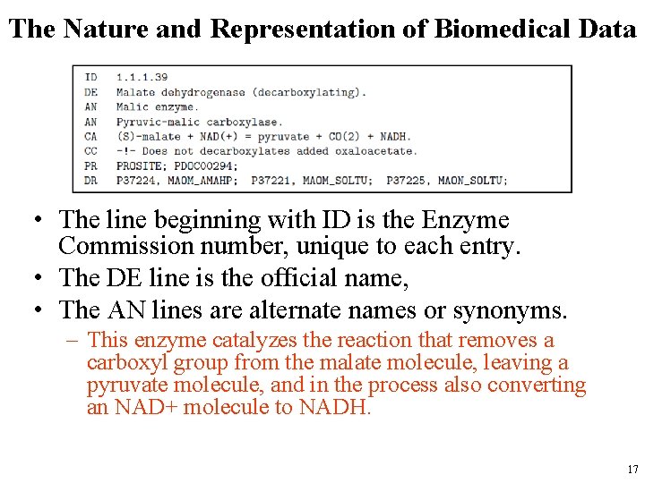 The Nature and Representation of Biomedical Data • The line beginning with ID is