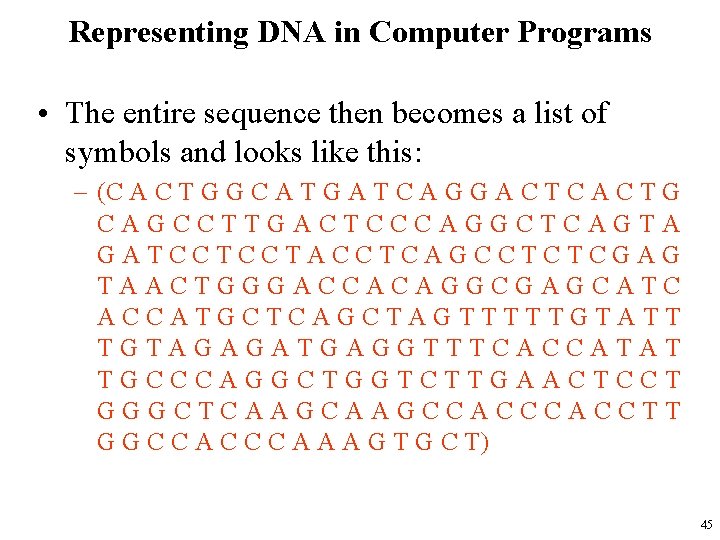 Representing DNA in Computer Programs • The entire sequence then becomes a list of