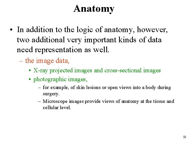 Anatomy • In addition to the logic of anatomy, however, two additional very important