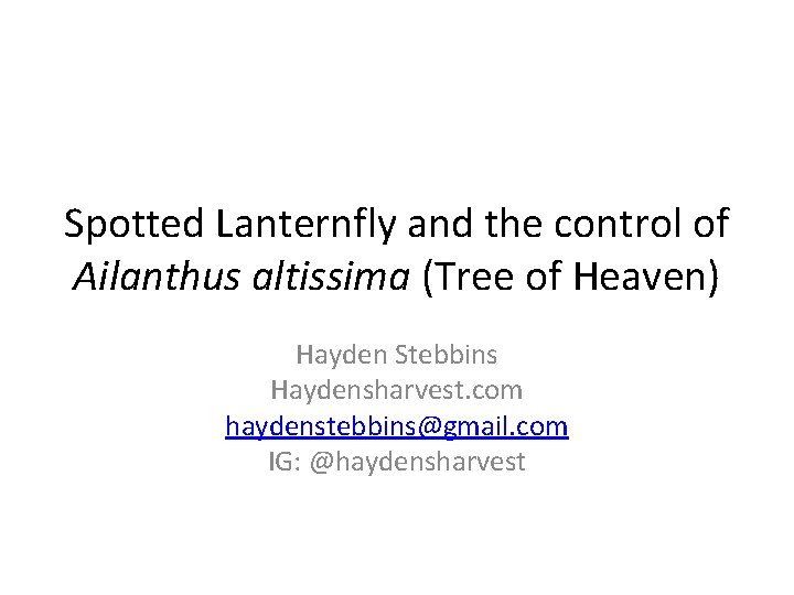 Spotted Lanternfly and the control of Ailanthus altissima (Tree of Heaven) Hayden Stebbins Haydensharvest.