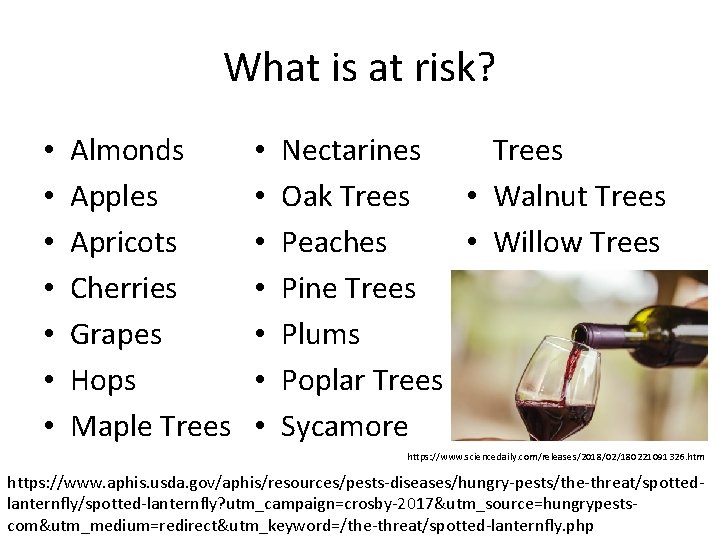 What is at risk? • • Almonds Apples Apricots Cherries Grapes Hops Maple Trees