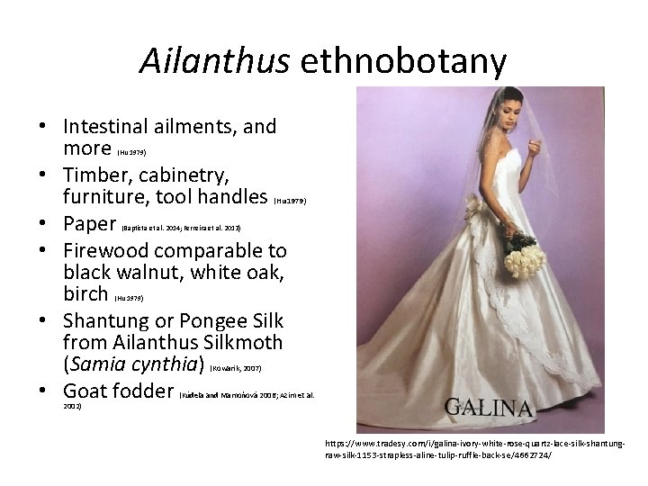 Ailanthus ethnobotany • Intestinal ailments, and more • Timber, cabinetry, furniture, tool handles •
