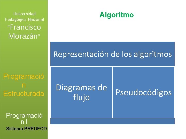 Universidad Pedagógica Nacional Algoritmo “Francisco Morazán” Representación de los algoritmos Programació n Estructurada Programació