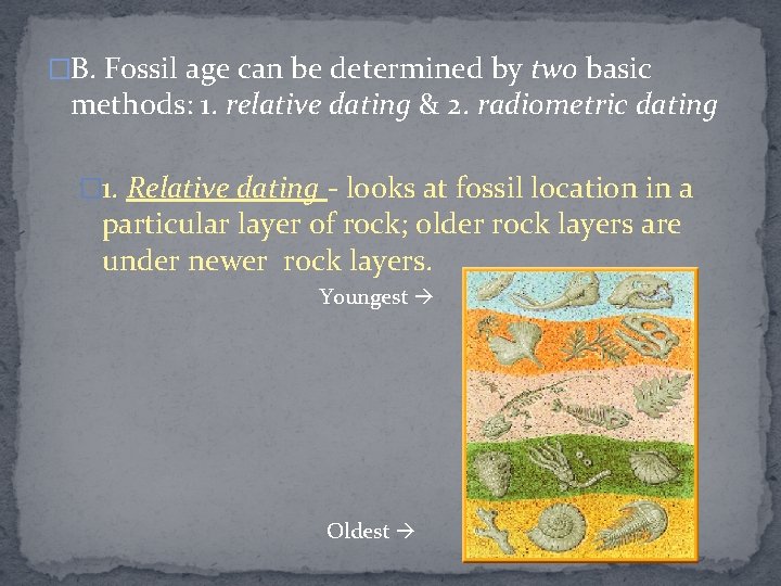 �B. Fossil age can be determined by two basic methods: 1. relative dating &