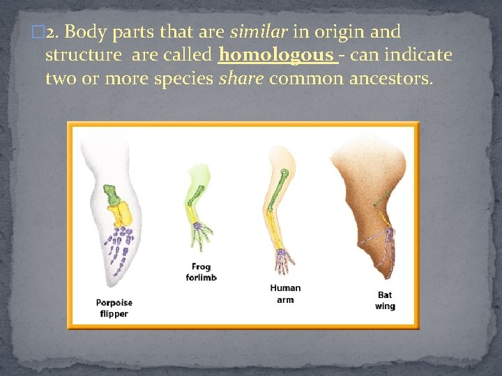 � 2. Body parts that are similar in origin and structure are called homologous
