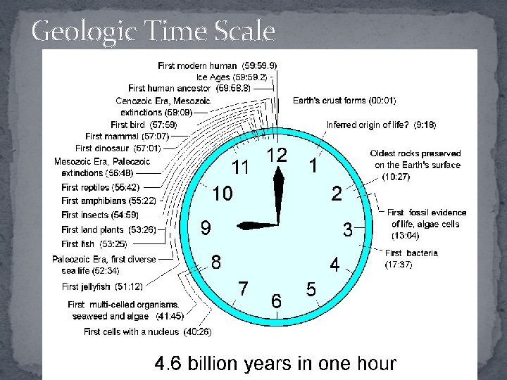 Geologic Time Scale 