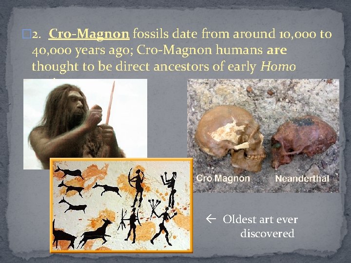 � 2. Cro-Magnon fossils date from around 10, 000 to 40, 000 years ago;