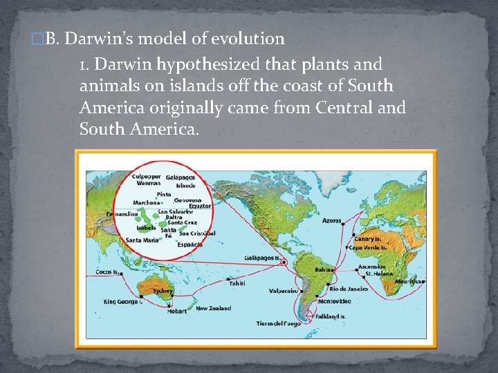 �B. Darwin’s model of evolution 1. Darwin hypothesized that plants and animals on islands
