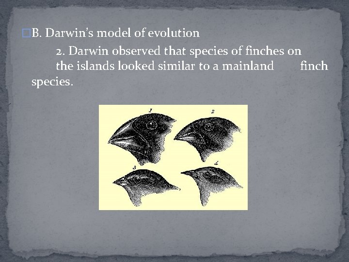 �B. Darwin’s model of evolution 2. Darwin observed that species of finches on the