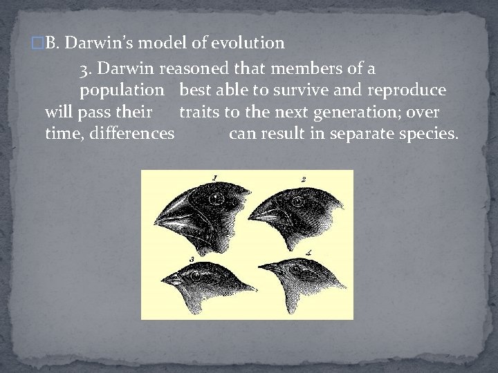 �B. Darwin’s model of evolution 3. Darwin reasoned that members of a population best