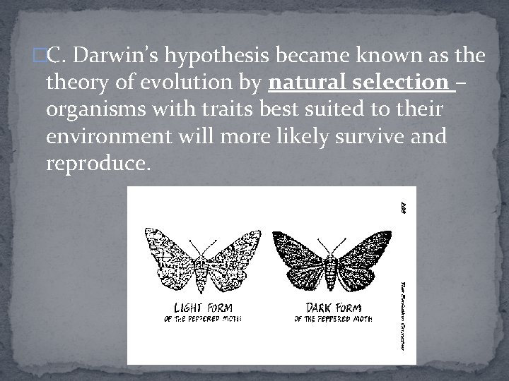 �C. Darwin’s hypothesis became known as theory of evolution by natural selection – organisms