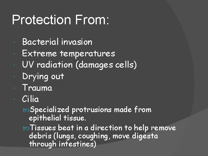 Protection From: Bacterial invasion Extreme temperatures UV radiation (damages cells) Drying out Trauma Cilia