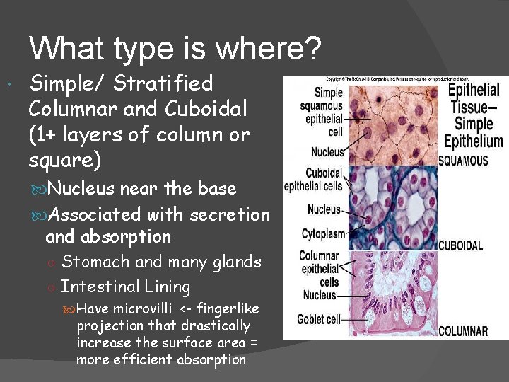What type is where? Simple/ Stratified Columnar and Cuboidal (1+ layers of column or