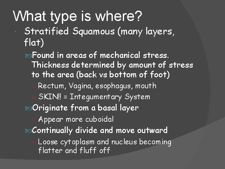 What type is where? Stratified Squamous (many layers, flat) Found in areas of mechanical