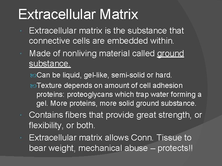 Extracellular Matrix Extracellular matrix is the substance that connective cells are embedded within. Made