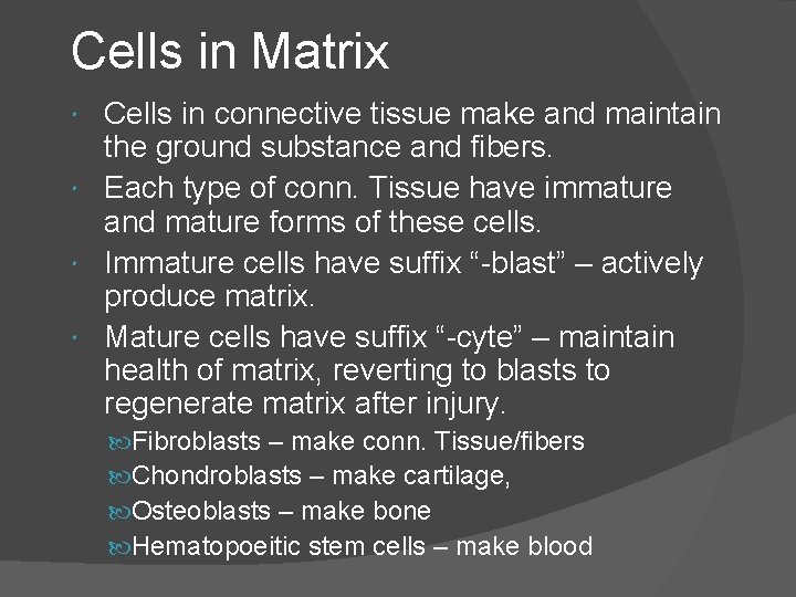 Cells in Matrix Cells in connective tissue make and maintain the ground substance and