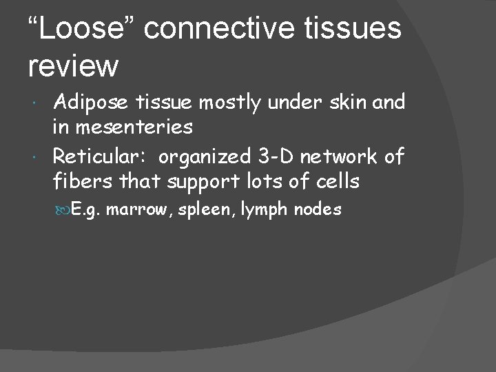 “Loose” connective tissues review Adipose tissue mostly under skin and in mesenteries Reticular: organized