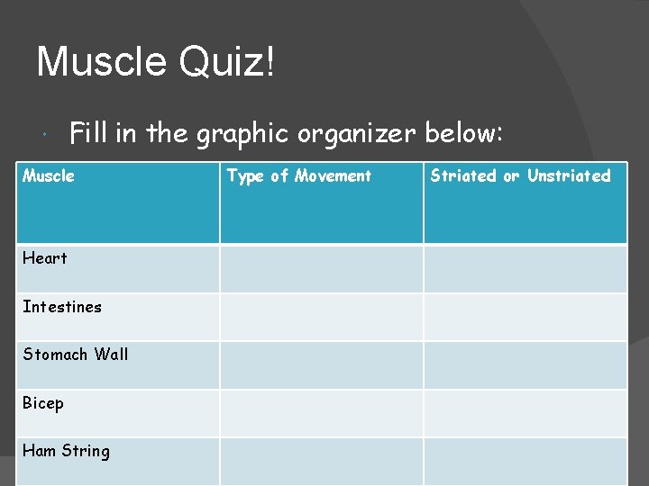 Muscle Quiz! Fill in the graphic organizer below: Muscle Heart Intestines Stomach Wall Bicep