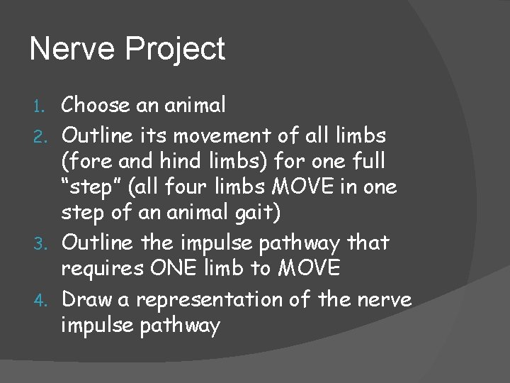 Nerve Project Choose an animal 2. Outline its movement of all limbs (fore and