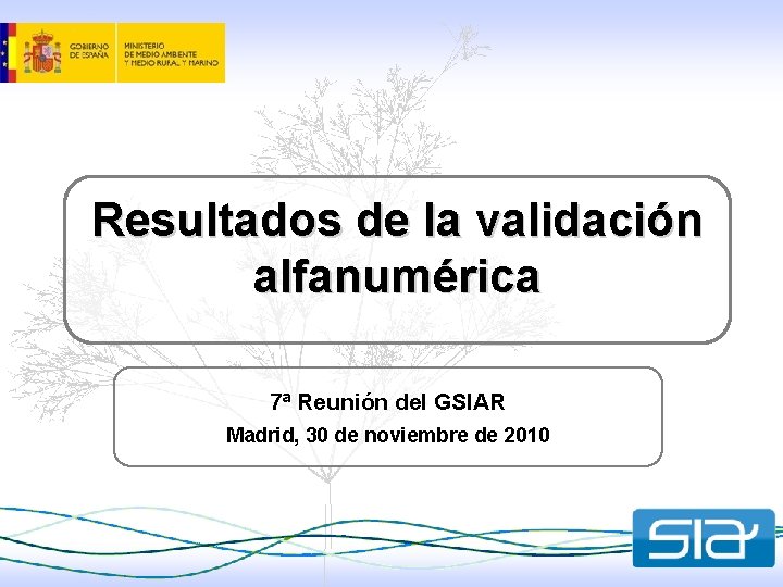 Resultados de la validación alfanumérica 7ª Reunión del GSIAR Madrid, 30 de noviembre de