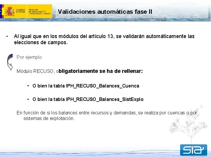 Validaciones automáticas fase II • Al igual que en los módulos del artículo 13,