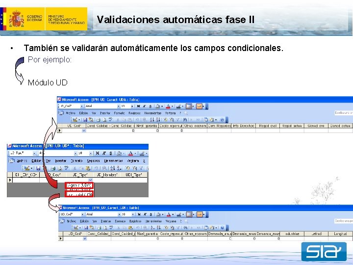 Validaciones automáticas fase II • También se validarán automáticamente los campos condicionales. Por ejemplo: