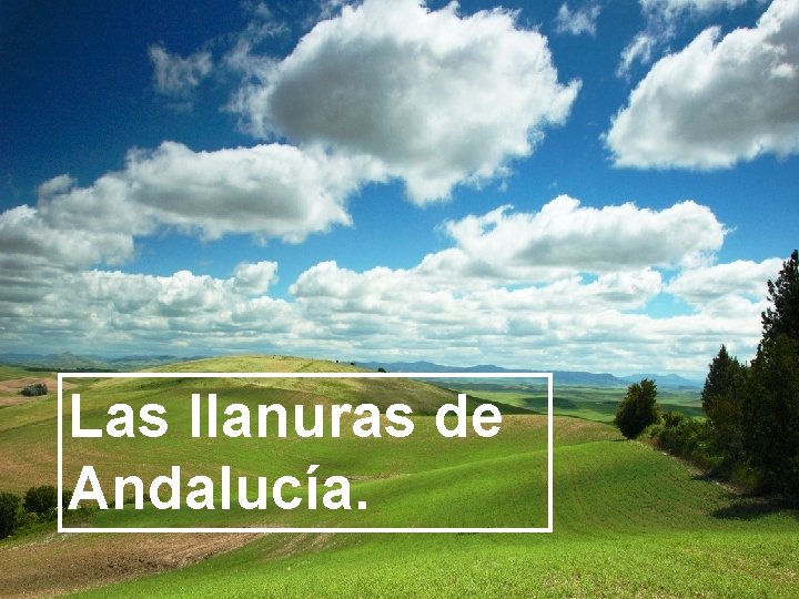 Las llanuras de Andalucía. 