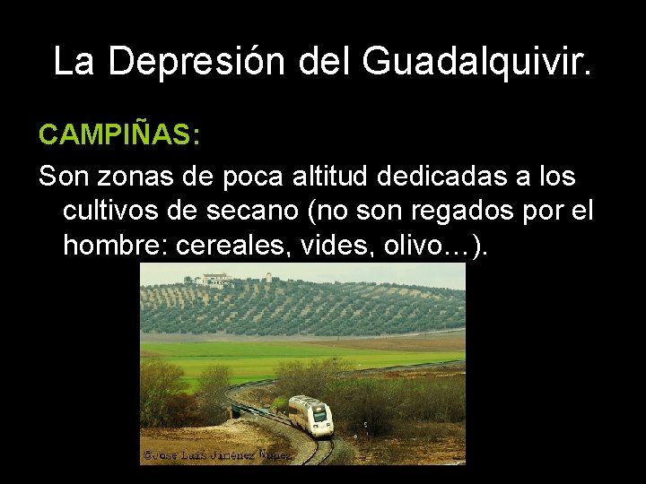 La Depresión del Guadalquivir. CAMPIÑAS: Son zonas de poca altitud dedicadas a los cultivos