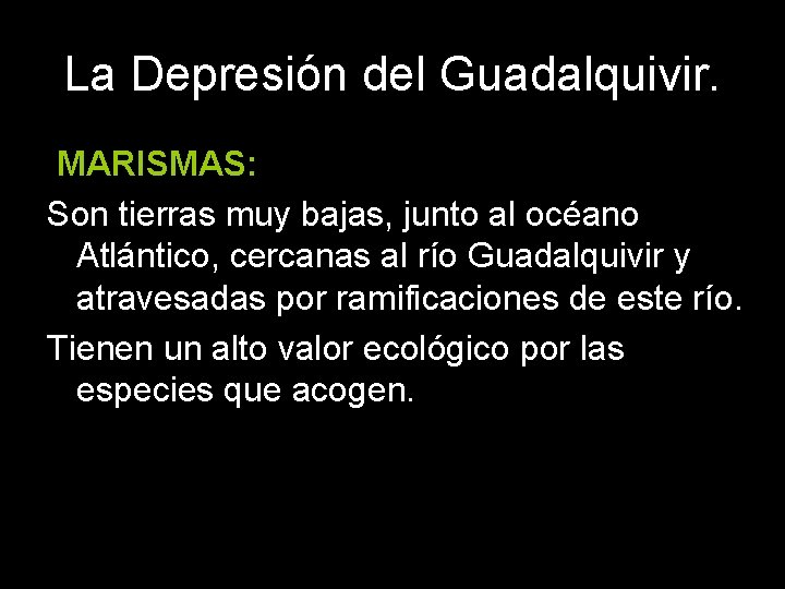 La Depresión del Guadalquivir. MARISMAS: Son tierras muy bajas, junto al océano Atlántico, cercanas