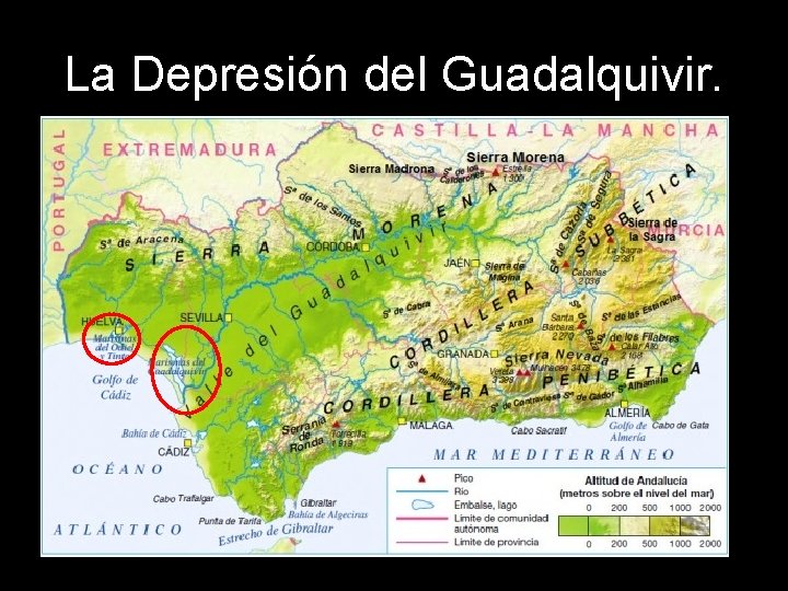 La Depresión del Guadalquivir. 