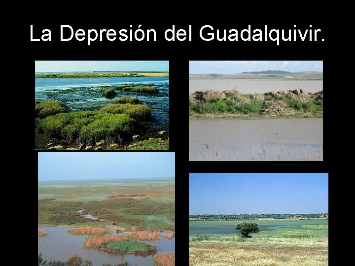 La Depresión del Guadalquivir. 
