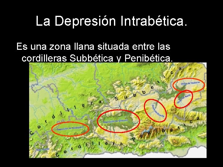 La Depresión Intrabética. Es una zona llana situada entre las cordilleras Subbética y Penibética.