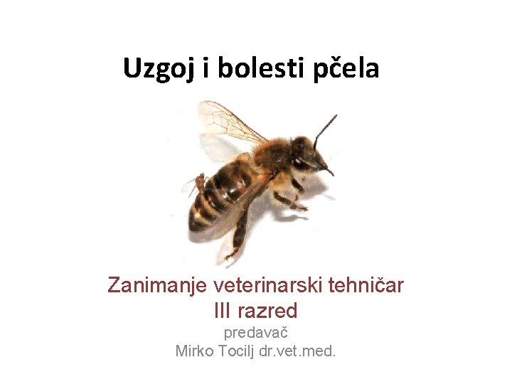 Uzgoj i bolesti pčela Zanimanje veterinarski tehničar III razred predavač Mirko Tocilj dr. vet.