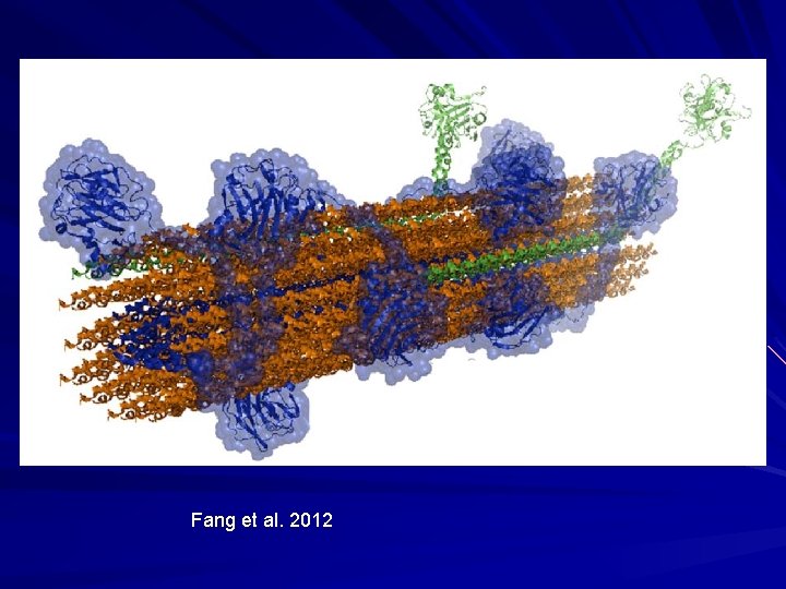 Fang et al. 2012 