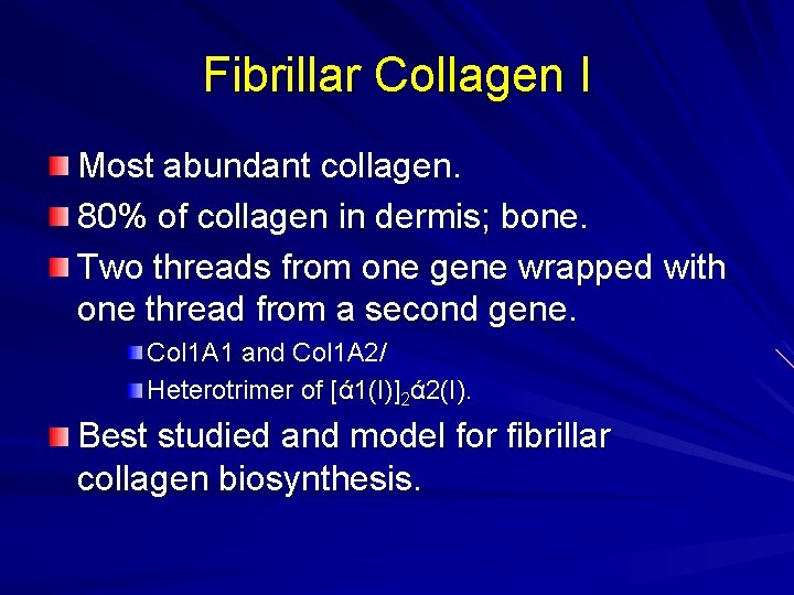Fibrillar Collagen I Most abundant collagen. 80% of collagen in dermis; bone. Two threads