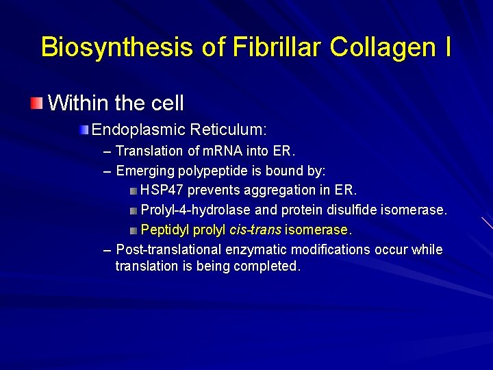 Biosynthesis of Fibrillar Collagen I Within the cell Endoplasmic Reticulum: – Translation of m.