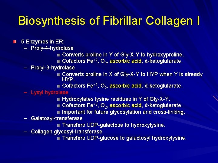 Biosynthesis of Fibrillar Collagen I 5 Enzymes in ER: – Proly-4 -hydrolase Converts proline