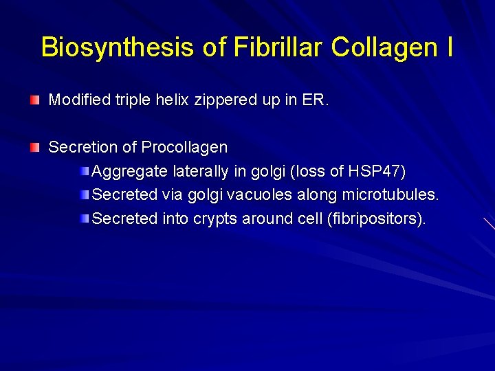 Biosynthesis of Fibrillar Collagen I Modified triple helix zippered up in ER. Secretion of
