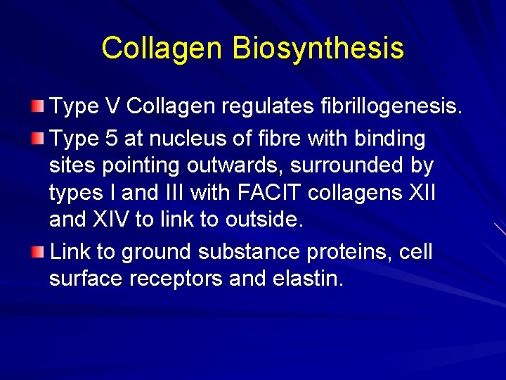 Collagen Biosynthesis Type V Collagen regulates fibrillogenesis. Type 5 at nucleus of fibre with