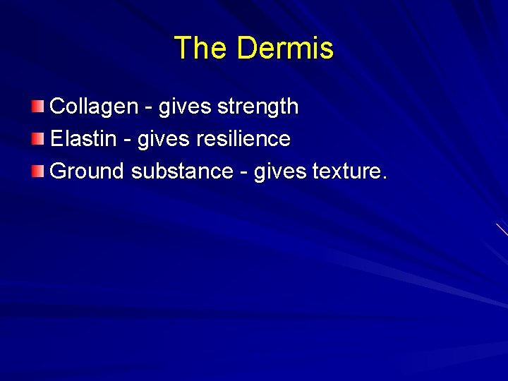 The Dermis Collagen - gives strength Elastin - gives resilience Ground substance - gives