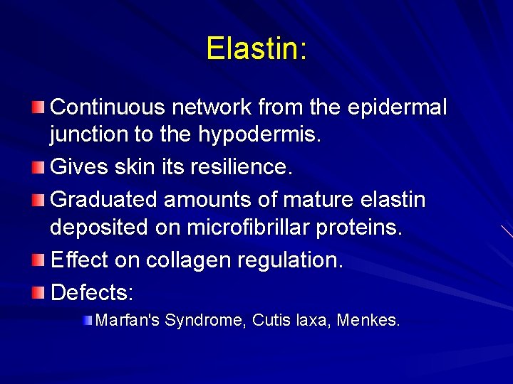 Elastin: Continuous network from the epidermal junction to the hypodermis. Gives skin its resilience.