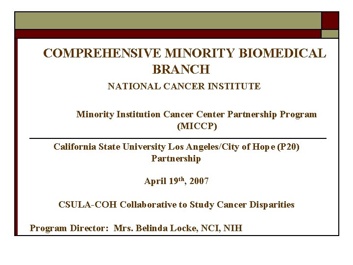 COMPREHENSIVE MINORITY BIOMEDICAL BRANCH NATIONAL CANCER INSTITUTE Minority Institution Cancer Center Partnership Program (MICCP)