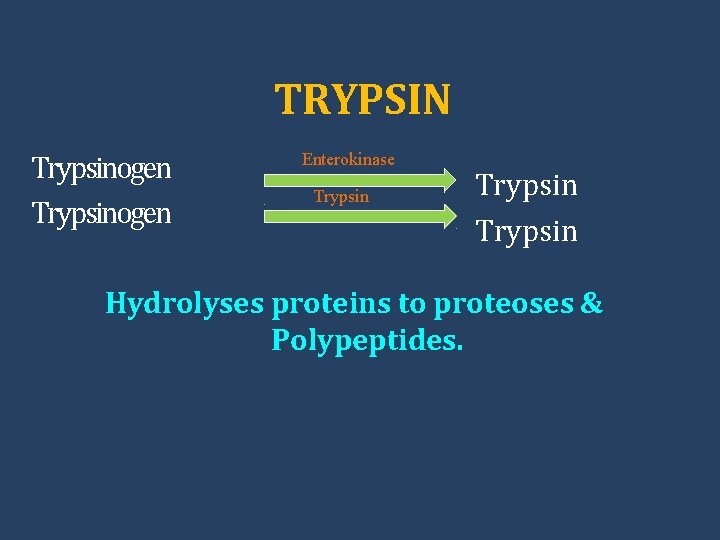 TRYPSIN Trypsinogen Enterokinase Trypsin Hydrolyses proteins to proteoses & Polypeptides. 
