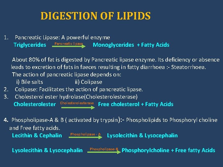 DIGESTION OF LIPIDS 1. Pancreatic Lipase: A powerful enzyme Triglycerides Pancreatic lipase Monoglycerides +