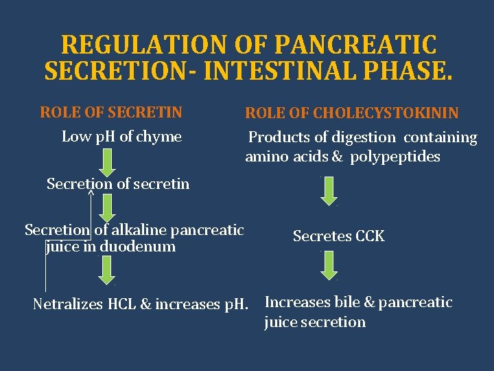 REGULATION OF PANCREATIC SECRETION- INTESTINAL PHASE. ROLE OF SECRETIN Low p. H of chyme