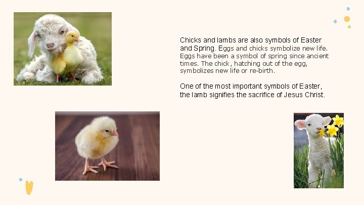 Chicks and lambs are also symbols of Easter and Spring. Eggs and chicks symbolize