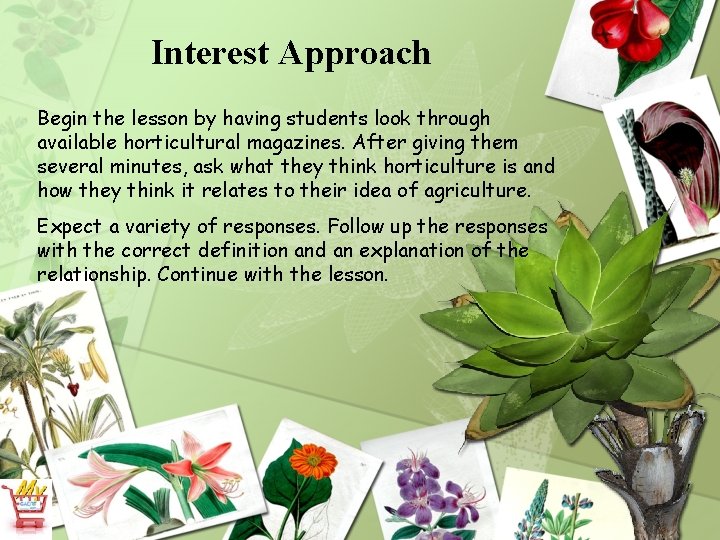 Interest Approach Begin the lesson by having students look through available horticultural magazines. After