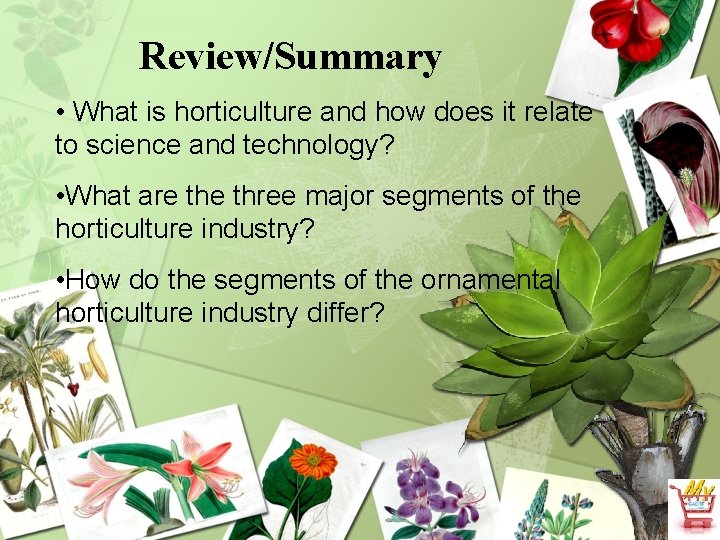 Review/Summary • What is horticulture and how does it relate to science and technology?